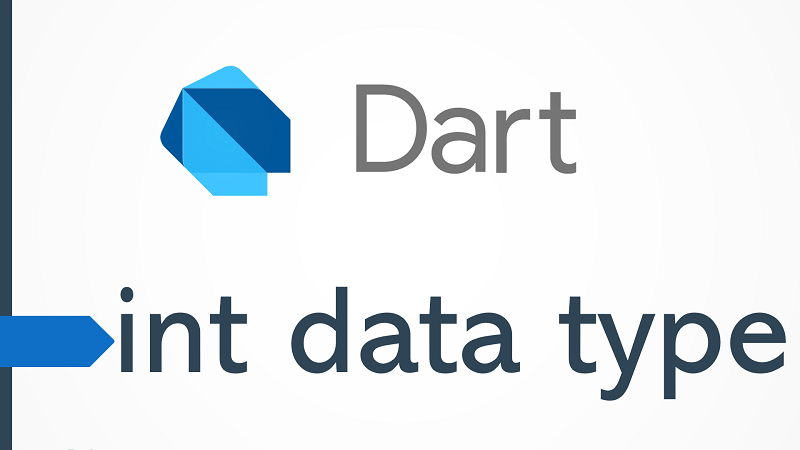 Dart integer Data Type by Examples